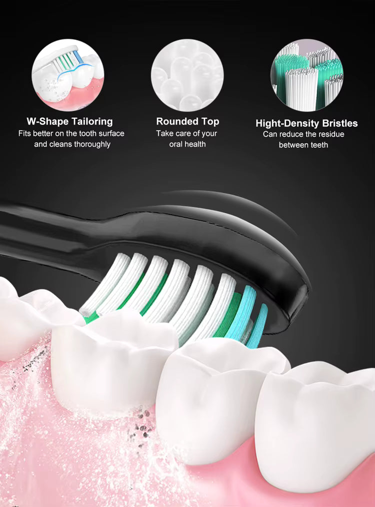 Brosse à dents électrique Rechargeable Brush avec une tête de brosse 8 pour adulte